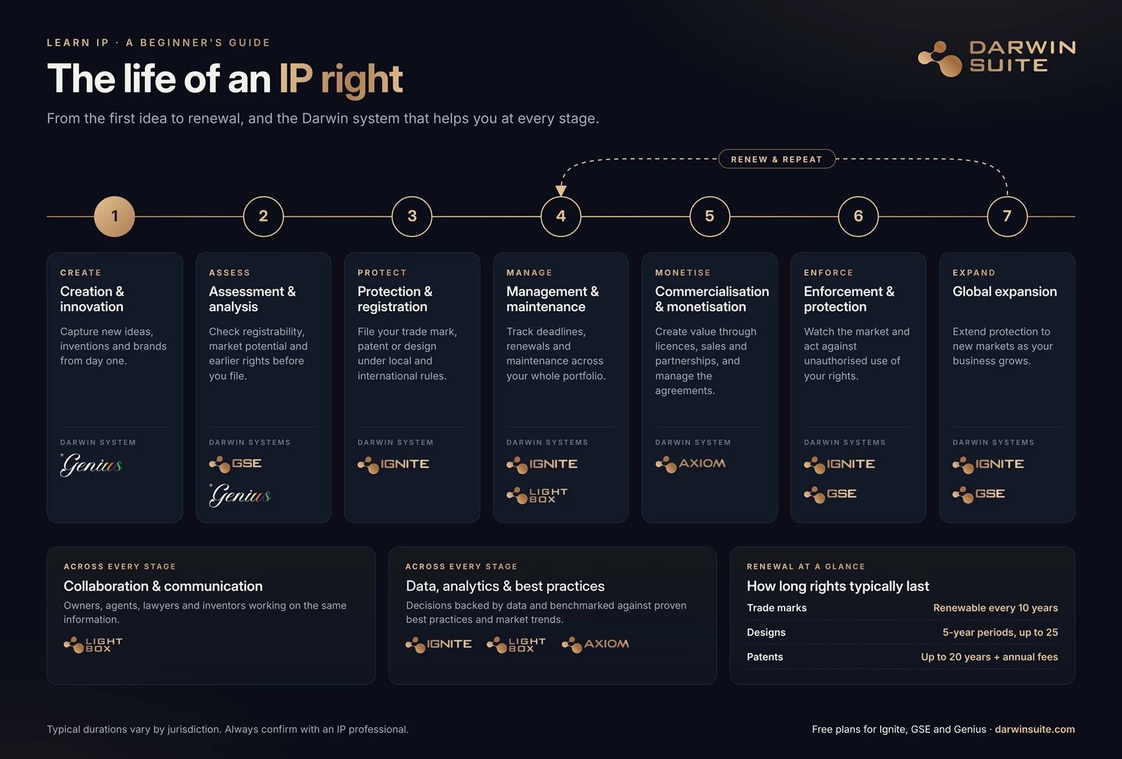 The life of an IP right in seven stages, from creation to global expansion, with the Darwin system that helps at each stage and how long rights typically last